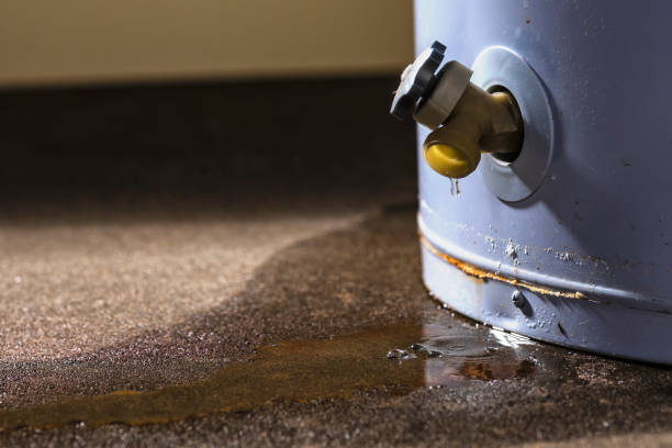 Best Water damage repair service  in Keene, TX