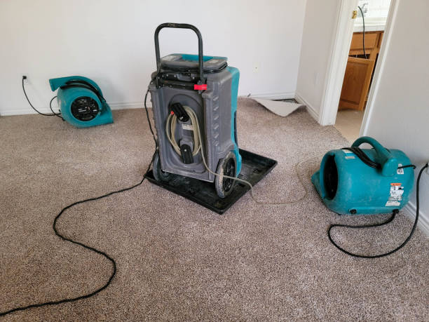 Best Mold removal after water damage  in Keene, TX