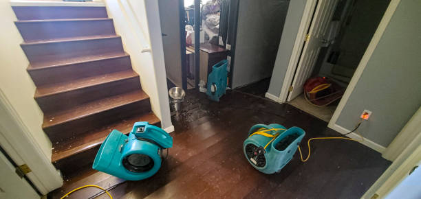 Carpet water damage restoration in TX