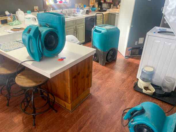 Best Water damage restoration experts  in Keene, TX