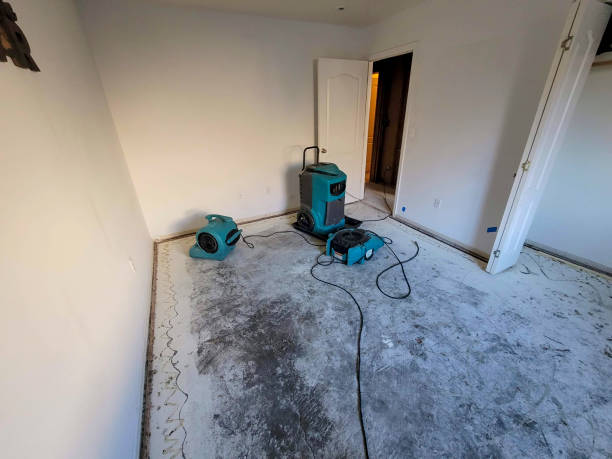 Best Residential water damage restoration  in Keene, TX