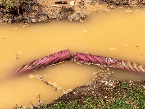 Best Water damage restoration near me  in Keene, TX